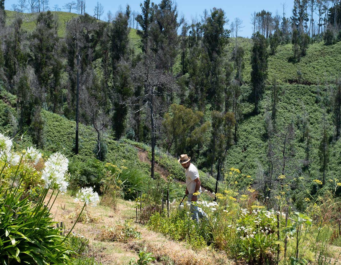 Agritourism Casas da Levada