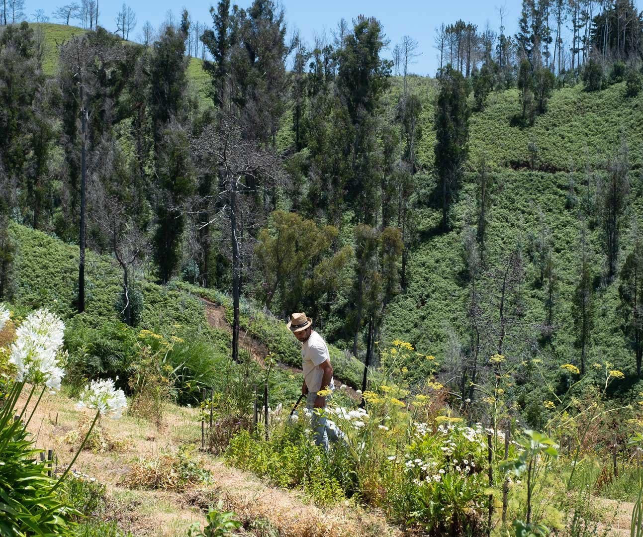 Agroturismo Casas da Levada