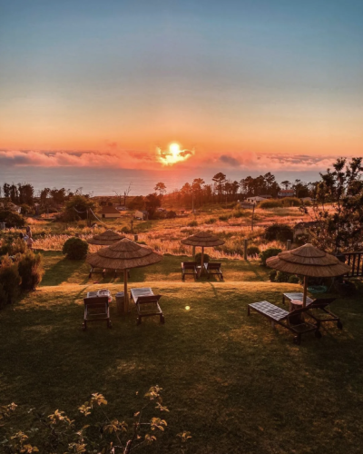 Captura-de-ecra-2026-04-06-as-13.36.08